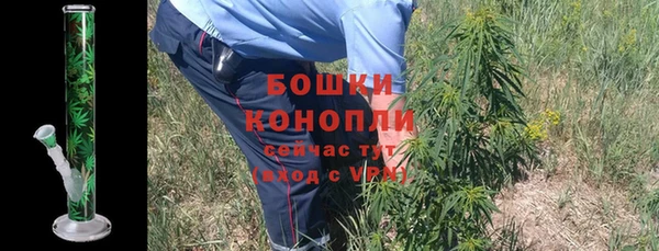 МДПВ Верхний Тагил